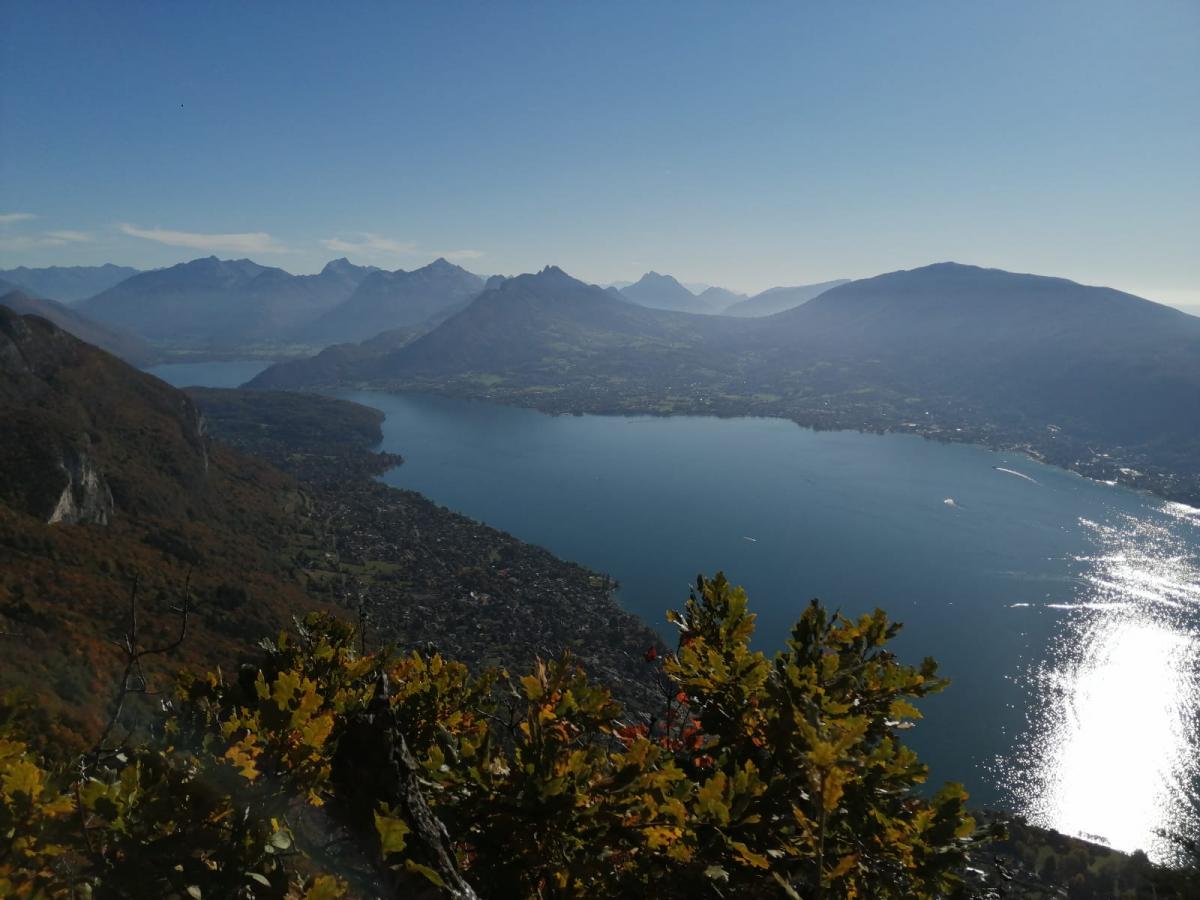 4246e644-3967-4a0e-83b9-3b60813a366f