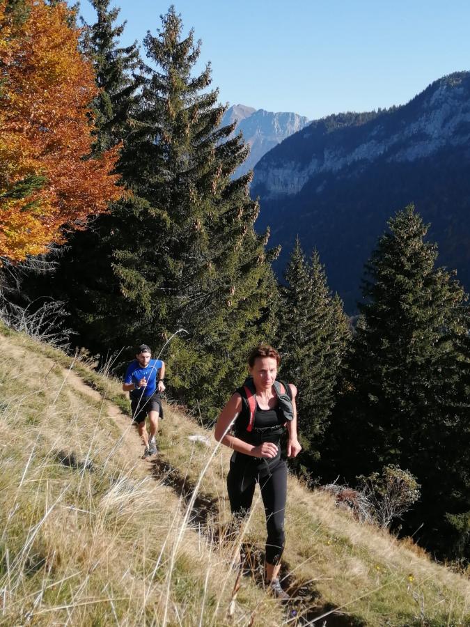 44672f50-8b83-457e-a3df-dd9737bac936