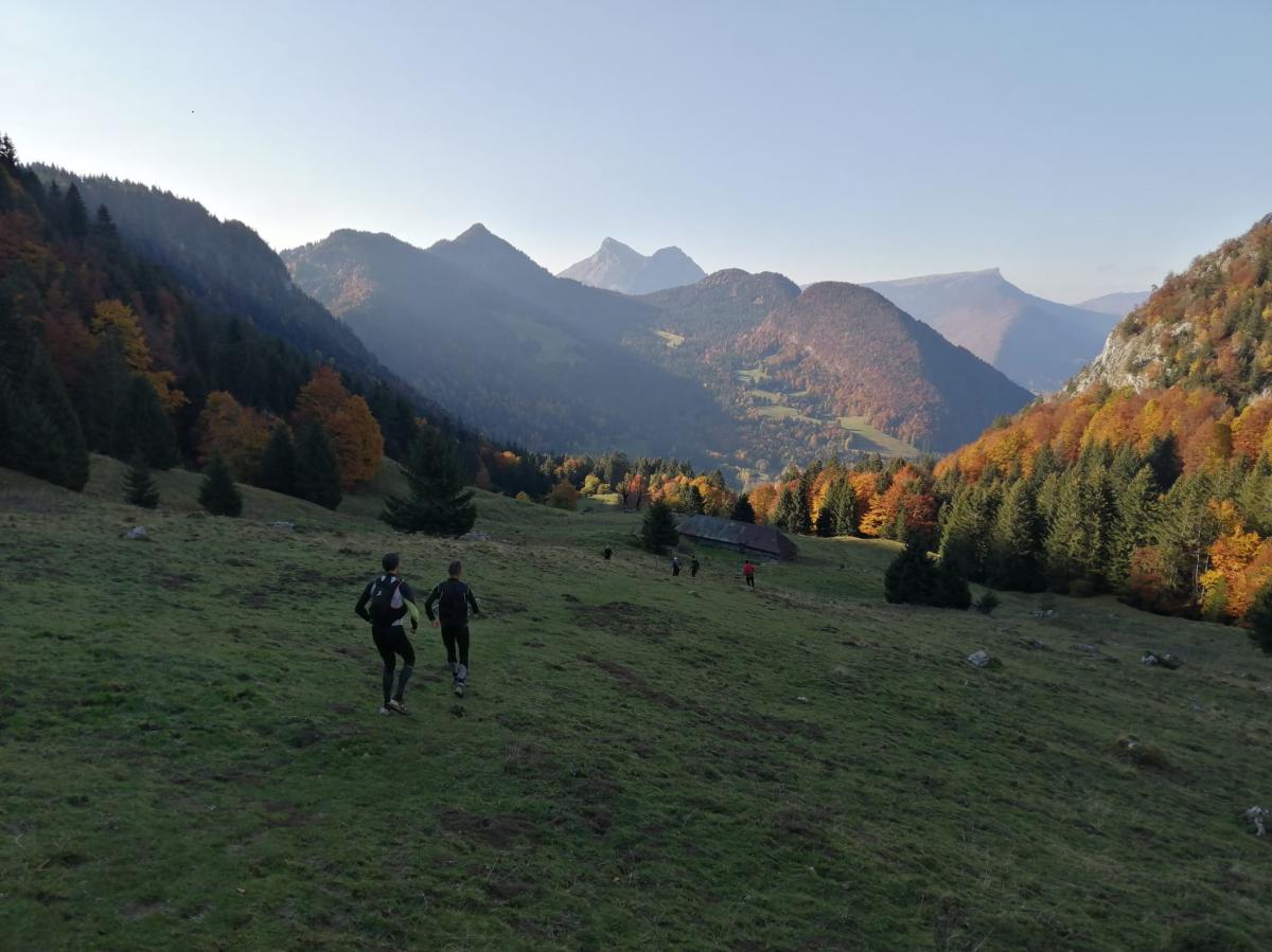 72194c56-3534-459b-b5c3-706e72316659