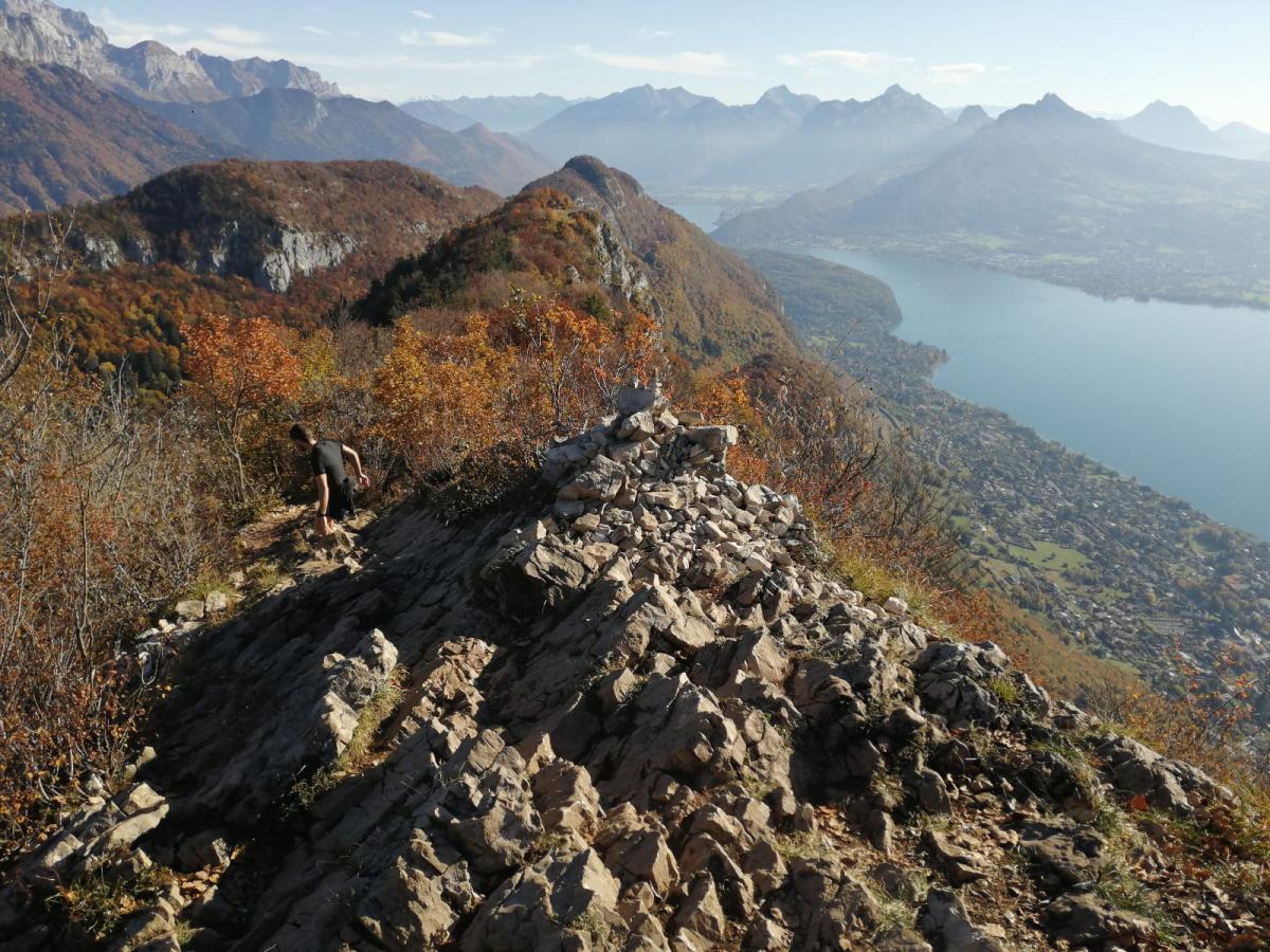 849c47f3-8126-4fe1-bfde-c3238c20cc88