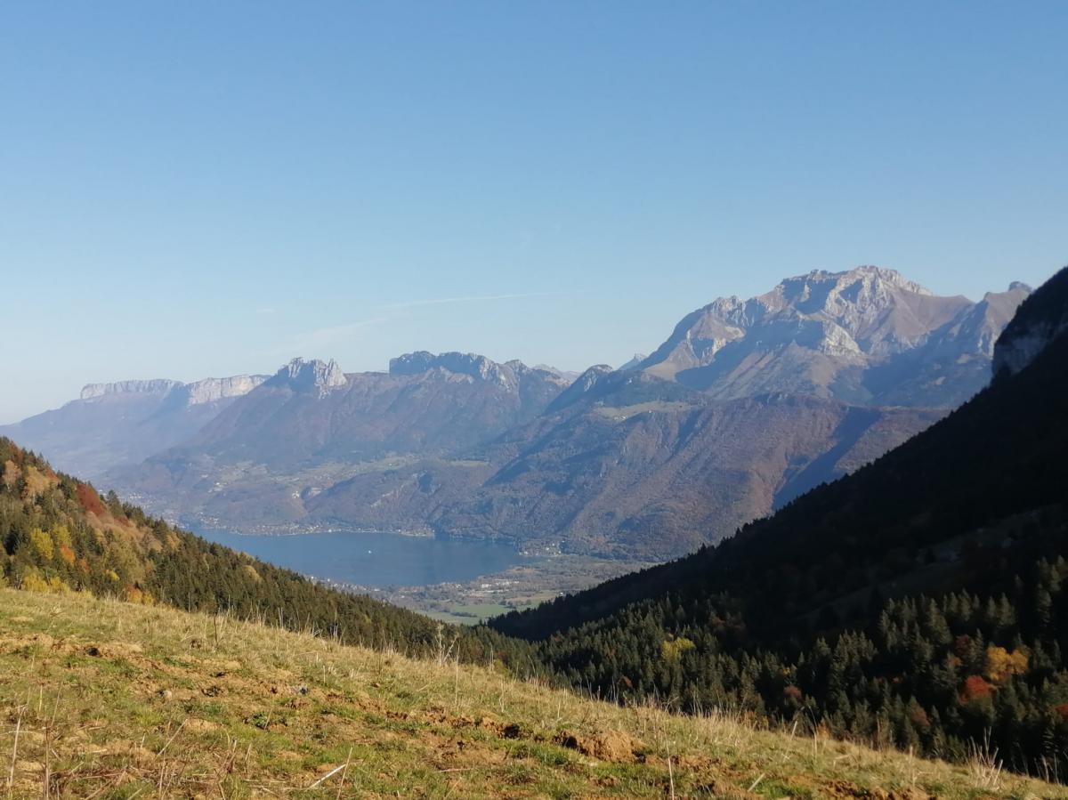 be5b966e-4b58-45a6-88fb-a2345a048407