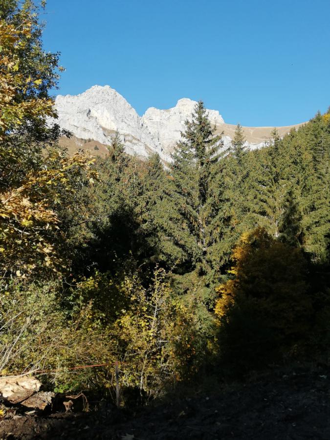 fdae0950-62b9-495f-8041-e9ee1a5228b6