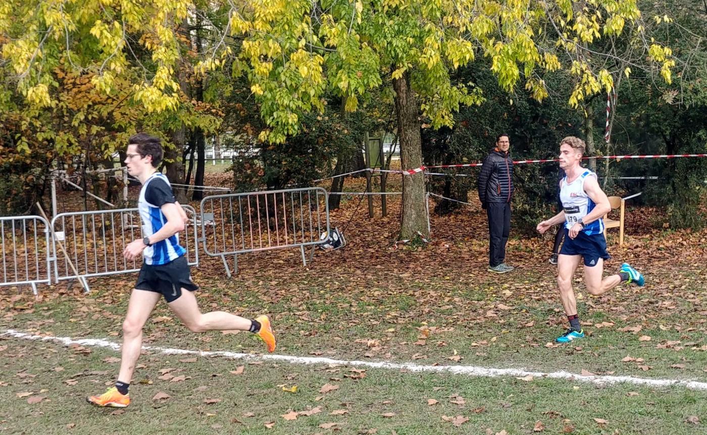 13f82fd0-1887-4558-a687-2d7bebefaf1d