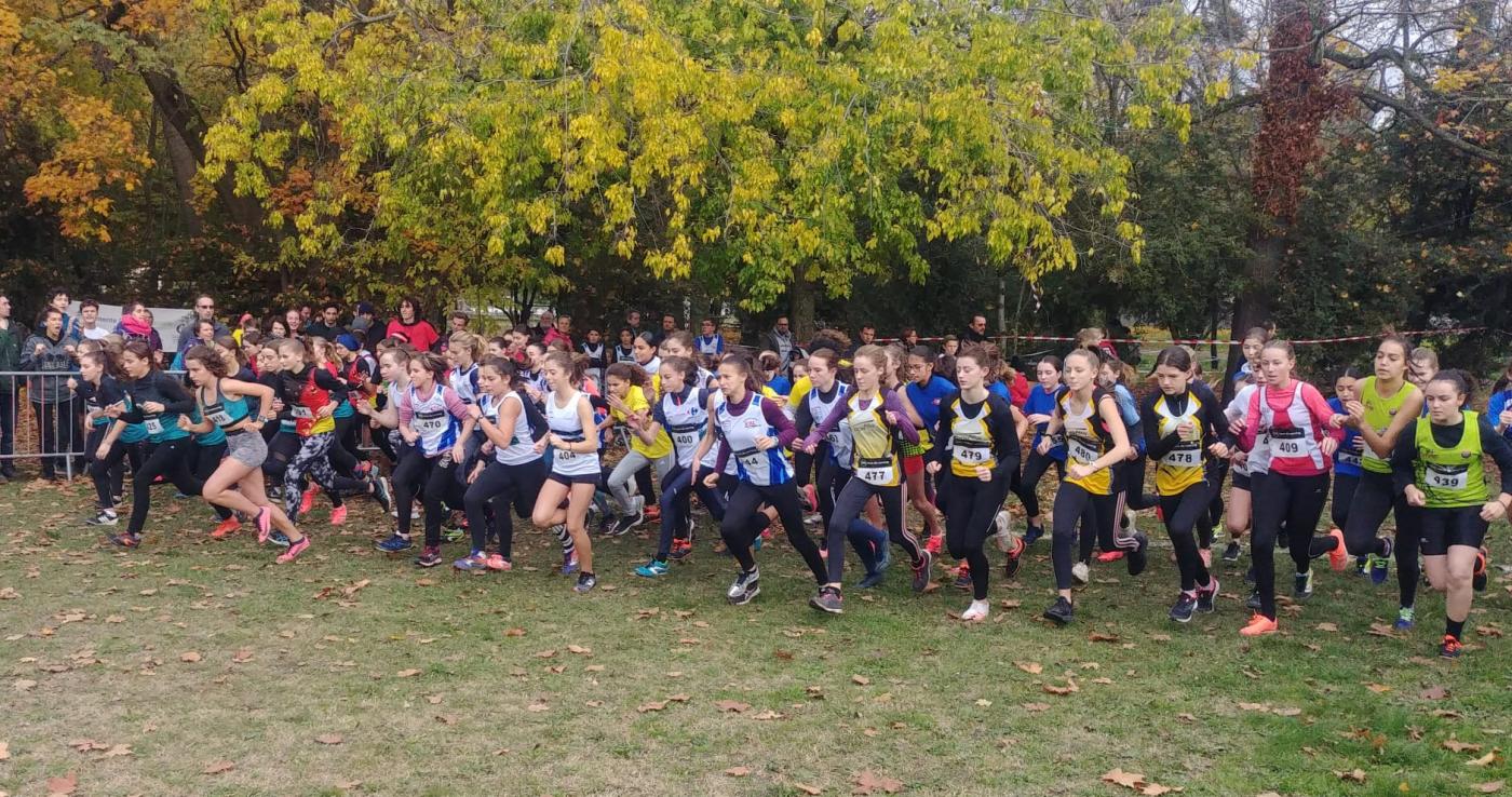 5e7a427e-50d7-492d-ba7d-d0e11e79d0af