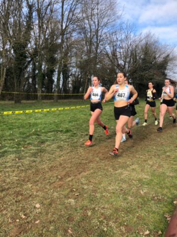 3b04c0f4-4862-4164-bd1b-973ca602fc71