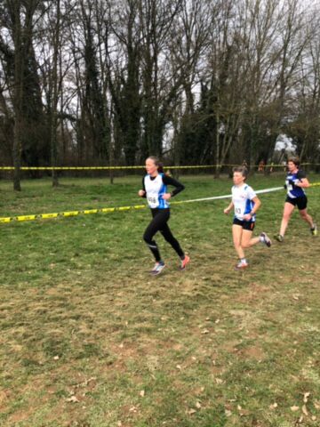 8ac85cee-0613-42c1-ae07-57085f5a2aa8