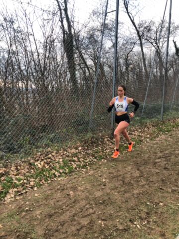 efdef260-47af-4c74-b515-01d5cd006453